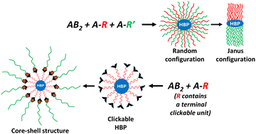 Graphical abstract: Revisiting AB2 + A-R copolymerization: direct access to Janus and peripherally clickable hyperbranched polyesters