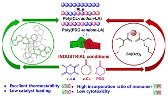 Graphical abstract: Efficient synthesis of polylactide and copolymers under industrial conditions by multinuclear β-ketoimide zinc complexes