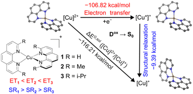 Graphical abstract: Quantifying flattening distortion on the thermodynamics and kinetics of electron transfers of Cu(i) photoredox catalysts