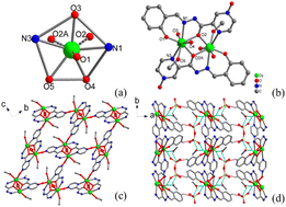 Graphical abstract: Coordination-driven assembly of dysprosium layers into a framework featuring enhanced energy barriers and quantum tunneling of magnetization