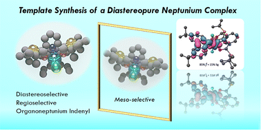Graphical abstract: Employing a template synthesis to access diastereopure Np(iv) and U(iv) complexes and analysis of their 5f orbitals in bonding