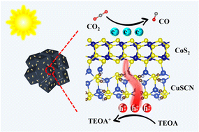 Graphical abstract: One-pot molten-salt construction of channels for hole transport and mass transfer over CoS2 nanocubes for visible-light-driven CO2 reduction