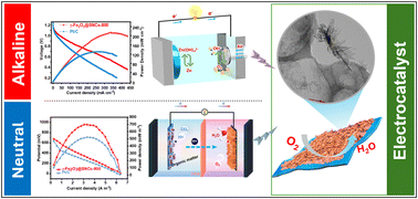 Graphical abstract: γ-Fe2O3 decorating N,S co-doped carbon nanosheets as a cathode electrocatalyst for different-scenario fuel cells