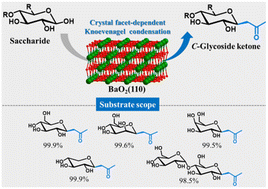 Graphical abstract: Crystal facet-dependent upgrading of saccharides over barium peroxide to synthesize C-glycoside ketones