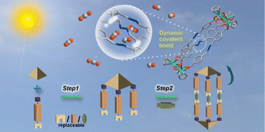 Graphical abstract: Dynamic covalent bonding for directed construction of molecular cages toward carbon dioxide reduction