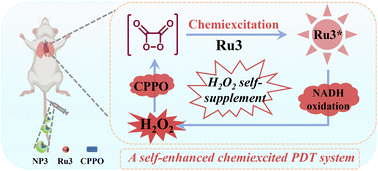 Graphical abstract: A self-enhanced chemiexcited PDT system for targeted and efficient treatment of deeply seated tumors