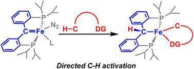 Graphical abstract: Directed C–H activation with iron carbene complexes