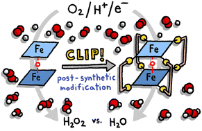 Graphical abstract: Post-synthetic modification of bis-iron(iii)-μ-oxo-porphyrin prisms to enhance oxygen reduction electrocatalysis