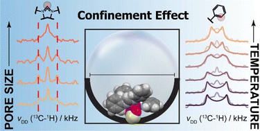 Graphical abstract: Size matters: altering the metal-surface coordination in micropores via structural confinement effects
