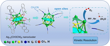 Graphical abstract: Boosting the oxygen reduction activity of silver nanoclusters via selective exposure of solvent-coordinated sites