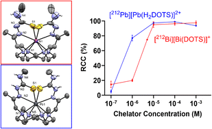 Graphical abstract: Rapid and stable complexation of the α-generators bismuth-212 and lead-212 with a tetraazamacrocyclic chelator bearing thiosemicarbazone pendant arms