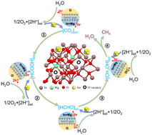 Graphical abstract: Au depositing and Mg doping synergistically regulates an In2O3 photocatalyst for promoting CO2 reduction and CH4 exclusive generation