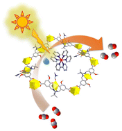 Graphical abstract: Engineering uranyl sites into MOFs for efficient and highly selective photocatalytic CO2 reduction