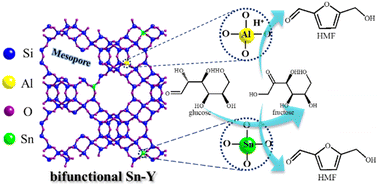 Graphical abstract: Bifunctional Sn-Y zeolite triggers tandem catalytic conversion of glucose into 5-hydroxymethylfurfural