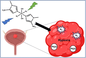 Graphical abstract: Tuning the phototherapeutic activity of Pt(iv) complexes for bladder cancer via modification of trans N-heterocyclic ligands