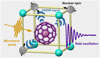 Graphical abstract: A 3D-assembled endohedral nitrogen fullerene in a metal–organic framework toward spin qubit and quantum sensors