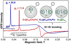 Graphical abstract: An interplay between metal–fullerene and metal–metal bonding in molecular magnetism of erbium metallofullerenes