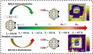 Graphical abstract: Halogenated carborane molecular ferroelectric crystals with high-temperature phase transition