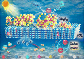 Graphical abstract: Multistage construction of Gd-doped g-C3N4/Mo15S19 composites enabled both N2 activation and multiple electron transfer for an enhanced photocatalytic nitrogen reduction reaction