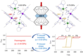 Graphical abstract: Pivotal role of solid phase interactions in the pressure-induced bi-stability of cyanide-bridged Fe2Co2 square complexes