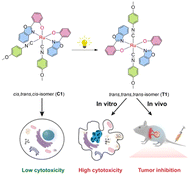Graphical abstract: Transformable cis–trans isomerism of ruthenium(ii) complexes with photoactivated anticancer activity