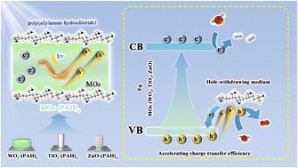 Graphical abstract: Non-conjugated polymer regulated photoelectrochemical water oxidation