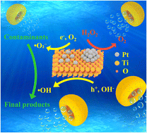 Graphical abstract: Pt single atom and atomic cluster-enhanced TiO2 Janus micromotors for efficient bubble propulsion and photocatalytic environmental remediation
