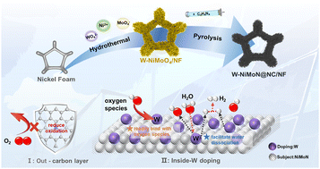 Graphical abstract: Carbon-coated W-doped NiMoN catalysts with enhanced antioxidant properties for robust water electrolysis under fluctuating electricity