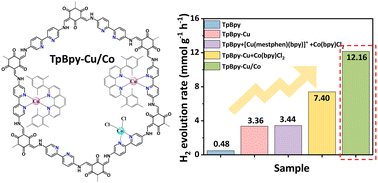 Graphical abstract: Dual non-noble-metal-immobilized covalent organic frameworks for visible-light-driven photocatalytic hydrogen evolution