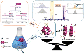 Graphical abstract: Organophosphonate- and dimethylarsinate-functionalized hexamolybdates(v) and their solution and gas phase properties