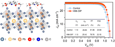Graphical abstract: Multidentate chelation via pyridine-based molecules for high-efficiency perovskite solar cells
