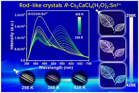 Graphical abstract: Dual-band white light emission and temperature-dependent luminescence of Sn2+ in the metastable structure of Cs2CaCl4(H2O)2
