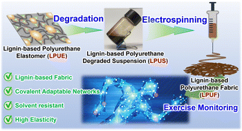 Graphical abstract: Lignin-based adaptable covalently cross-linked fabric for flexible sensors