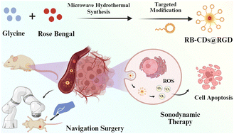 Graphical abstract: Integrin αvβ3-targeted engineered carbon dots for efficacious sonodynamic therapy and fluorescence navigation surgery against gliomas