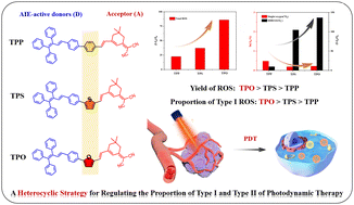 Graphical abstract: A heterocyclic strategy for regulating the proportion of type I and type II photodynamic therapy