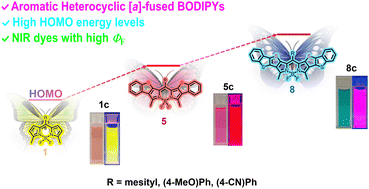 Graphical abstract: Dibenzothieno and dibenzothieno[2,3-d]thieno [a]-fused BODIPYs: synthesis, unique structure and photophysical properties