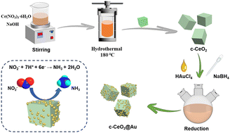 Graphical abstract: Influence of CeO2 support morphology on the structural and NO2−RR performance of CeO2@Au catalyst