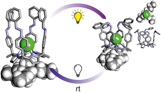 Graphical abstract: Tetra-azobenzene extended calix[4]pyrroles: influence of photo-isomerization on chloride binding and its transport through liposomal membranes