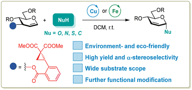 Graphical abstract: Stereoselective strain-release Ferrier rearrangement: the dual role of catalysts