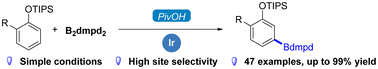 Graphical abstract: Iridium-catalyzed meta-selective C–H borylation of phenol derivatives