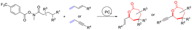 Graphical abstract: Nitrogen-directed unactivated γ-C(sp3)–H functionalization of amides toward 7-membered lactones via photoredox catalysis