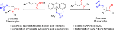 Graphical abstract: Photocatalyzed sulfoximination/amidation of (Het)arylethenes tethered N-tosyl amide: a versatile entry to sulfoximidoyl β- and γ-lactams