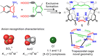 Graphical abstract: Synthesis and anion recognition characteristics of a trapezoidal benzene cage