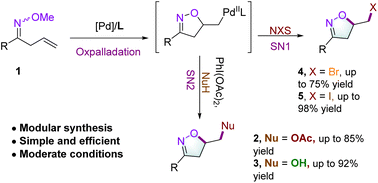 Graphical abstract: Palladium-catalyzed epoxidation of olefins using electrophiles as oxidizing agents