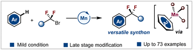 Graphical abstract: Ligand-assisted manganese-enabled direct C–H difluoromethylation of arenes