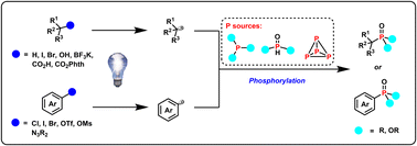 Graphical abstract: Photocatalytic C–P bond formation based on the reaction of carbon-centered radicals with phosphides