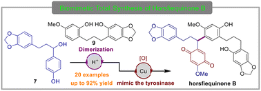 Graphical abstract: Biomimetic total synthesis of Horsfiequinone B enabled by a Friedel–Crafts alkylation (FCA)-type non-homodimerization