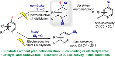 Graphical abstract: Site-selective electrochemical C–H silylations of pyridines enabled by temporary reductive dearomatization