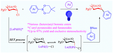 Graphical abstract: Visible light induced palladium-catalyzed Suzuki–Miyaura cross-coupling of glycosyl chlorides to form C-aryl glycosides