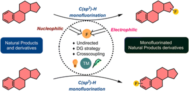 Graphical abstract: Recent advances in late-stage monofluorination of natural products and their derivatives